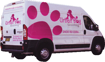 mobile dog grooming